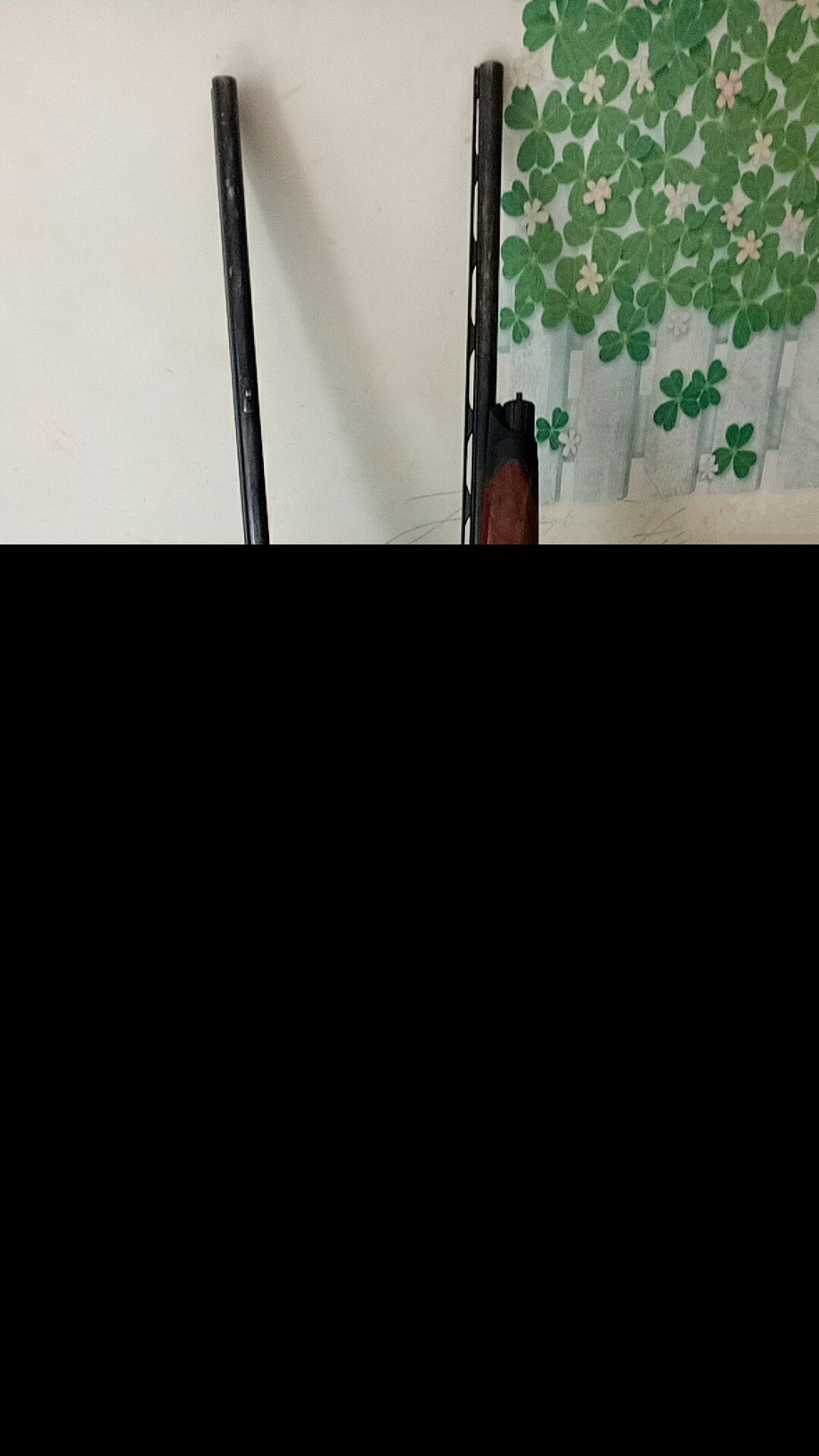 3718.jpg