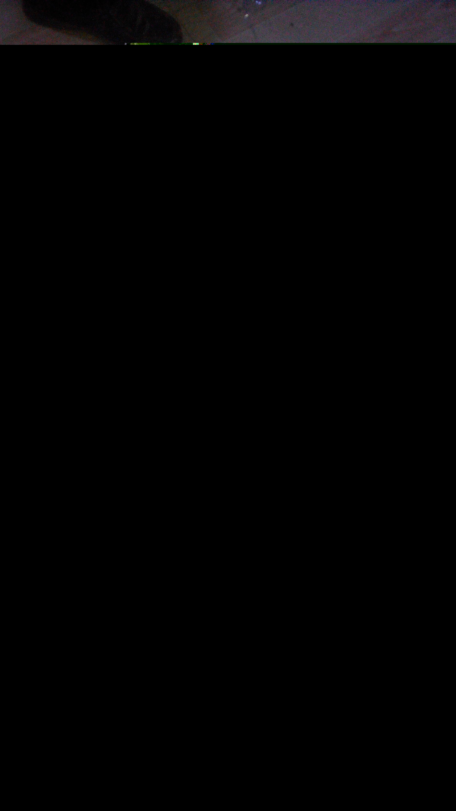 161.jpg
