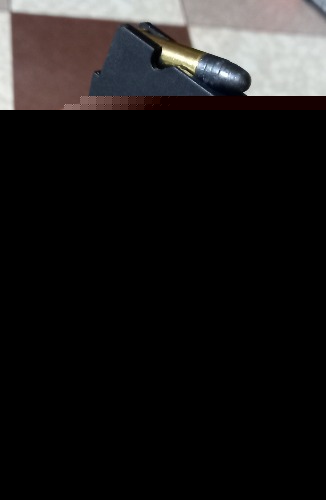 774.jpg