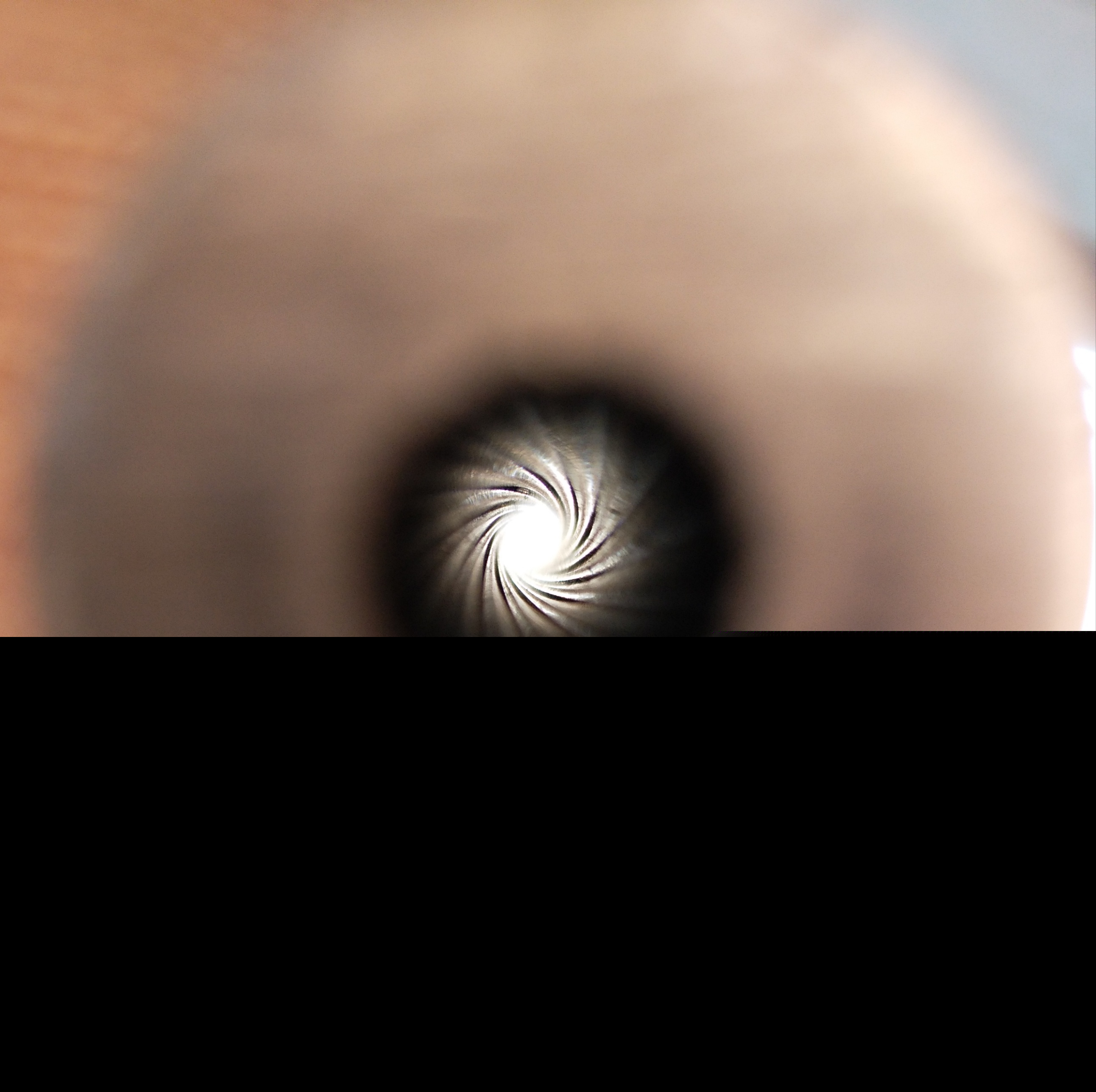 121.JPG