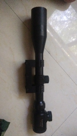 378.jpg